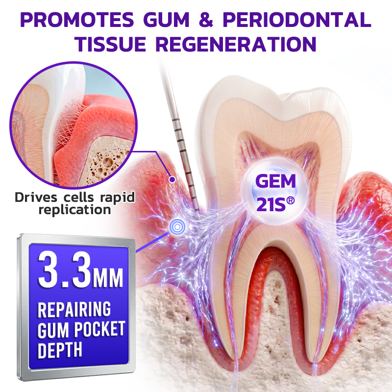🇺🇸❤️🦷Evolvion® Bee Venom Gingivitis & Periodontitis Treatment Toothpaste🎁