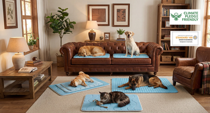 Summer Cooling Mat & Sleeping Pad for Pets, Kids and Adults